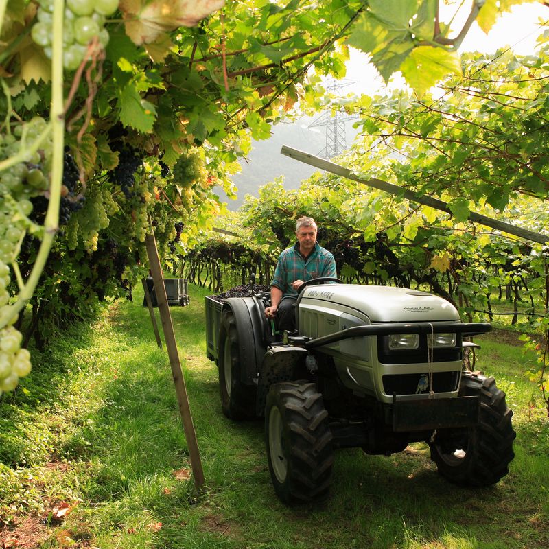 Distilleria Casimiro di Bernardino Poli | L'azienda